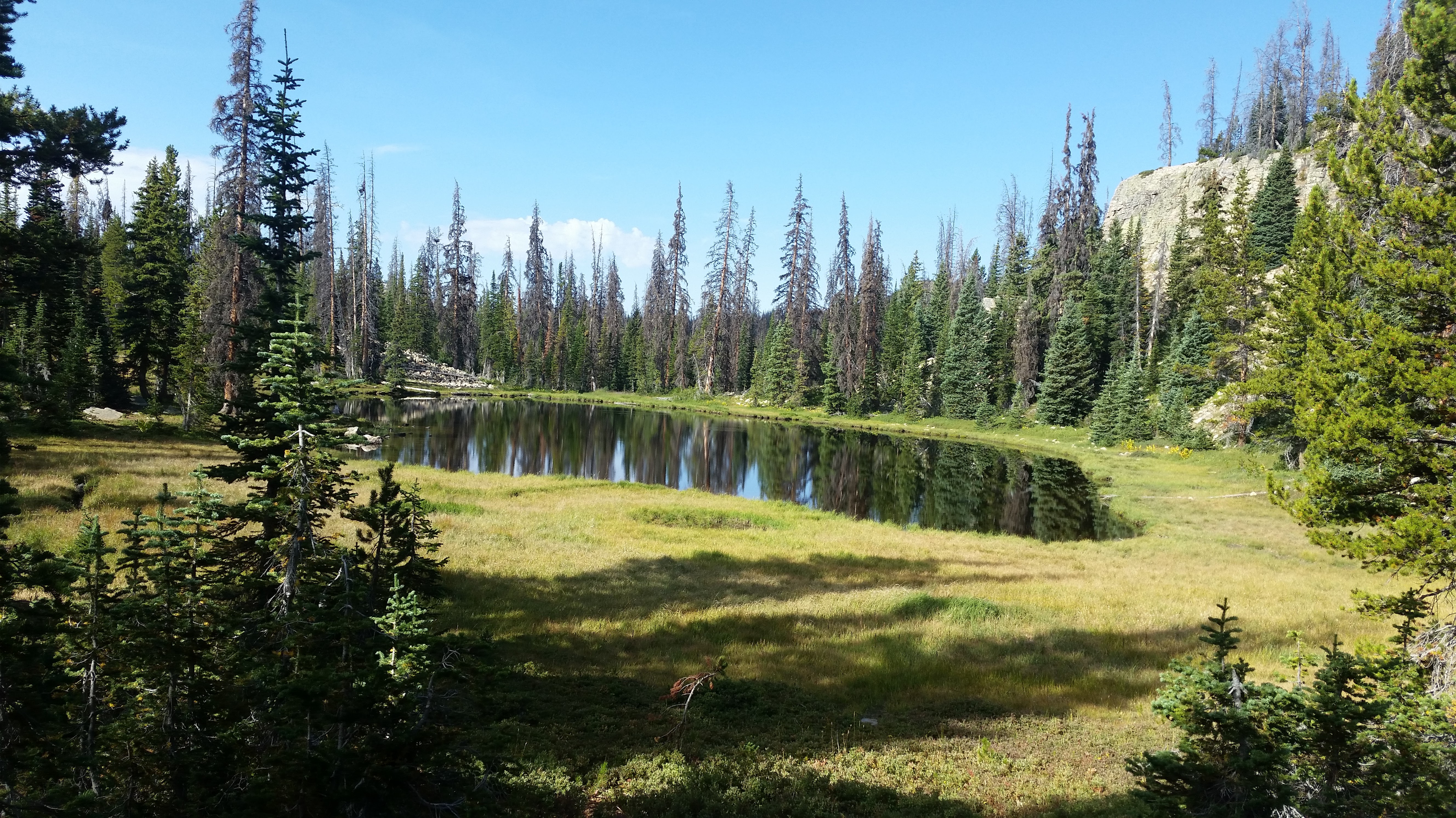 Snowbird – Utah · 2016